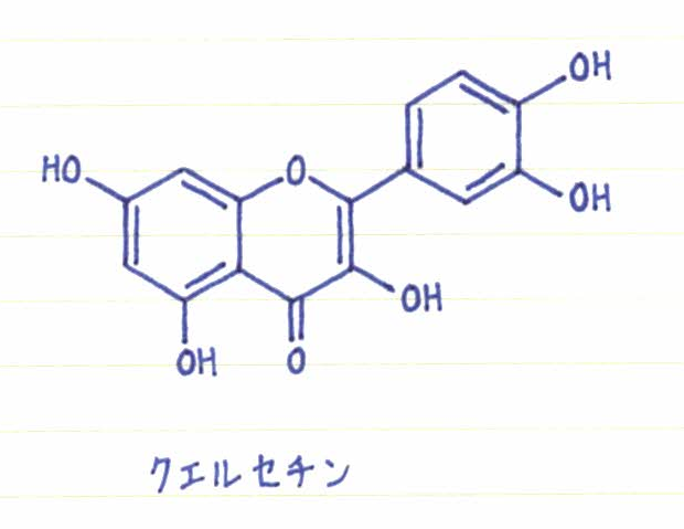 薬剤師監修 利尿作用のあるフラボノイドについて構造式の特徴を考察 メディカルハーブ ククット 薬剤師監修 利尿作用のあるフラボノイドについて構造式の特徴を考察 メディカルハーブ ククット
