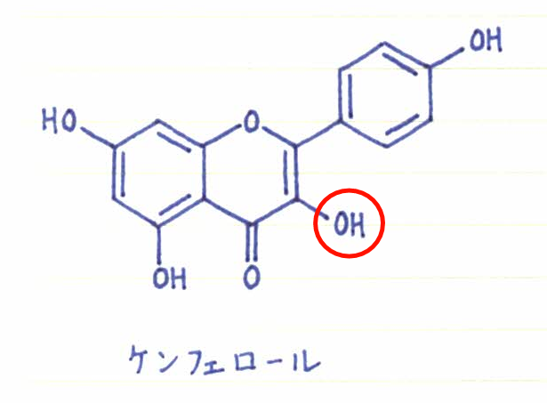 薬剤師監修 利尿作用のあるフラボノイドについて構造式の特徴を考察 メディカルハーブ ククット 薬剤師監修 利尿作用のあるフラボノイドについて構造式の特徴を考察 メディカルハーブ ククット