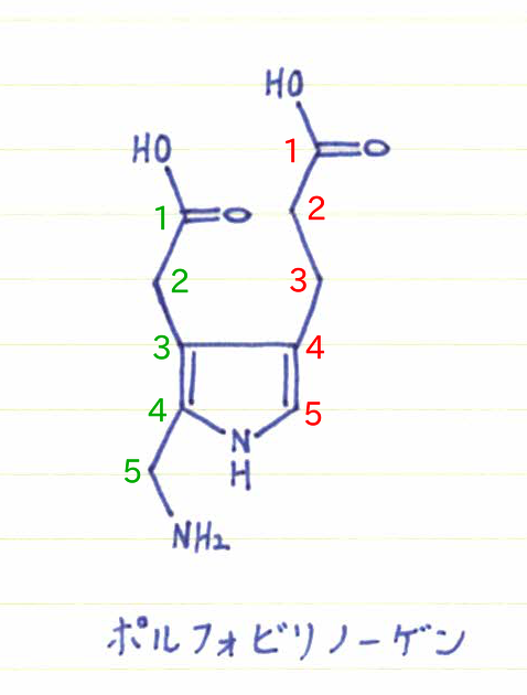 ミトコンドリアの代謝改善?5-ALA(アミノレブリン酸)の作用機序【アラプラスなど】